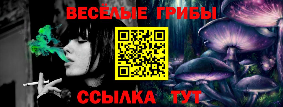 Псилоцибиновые грибы Psilocybe  Вход с VPN  Карабулак 